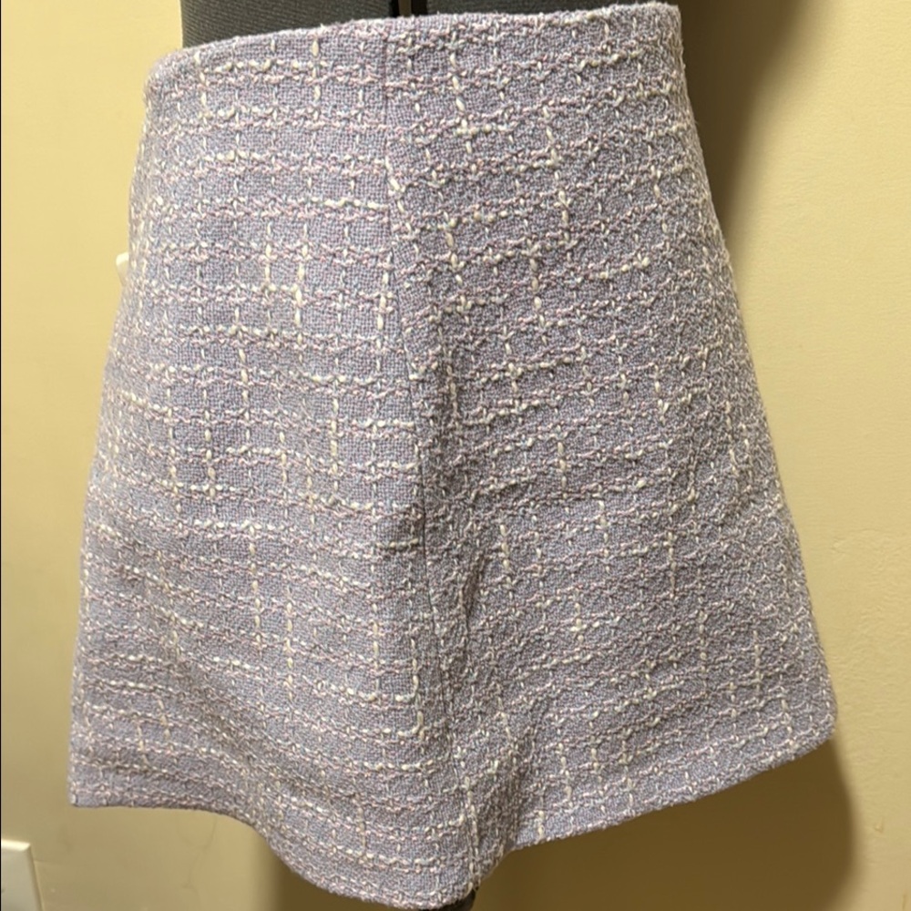 Zara Purple Skorts with A-line Silhouette